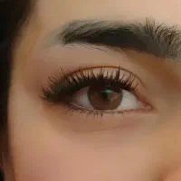 کاشت مژه هیدن ،لیفت ولمینت مژه و ابرو|خدمات آرایشگری و زیبایی|شیراز, شهرک مدرس|دیوار