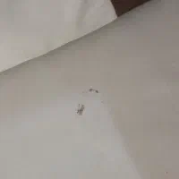 مبل راحتی|مبلمان خانگی و میز عسلی|مرند, |دیوار