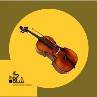 آموزش ویولن ویلن ویالن ویالون و کمانچه