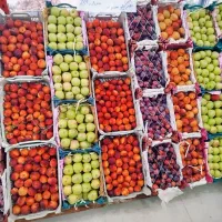 استخدام فروشنده خانم - میوه‌فروشی.آرست مارکت