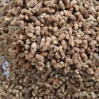 توت خشک تجاری(ضایعات)