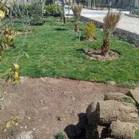 باغبانی ودرختکاری