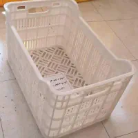 سبد صیفیجات ومرکبات