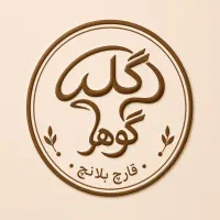 نیروی بازنشسته