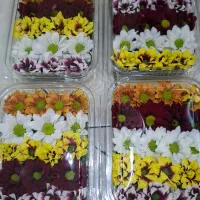 گل خوراکی میکروگرین و میوه های استوایی|خوردنی و آشامیدنی|تهران, آهنگ|دیوار