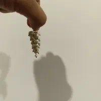 نیم ست انگوری مروارید طبیعی کادویی|بدلیجات|تهران, قصر فیروزه ۱|دیوار