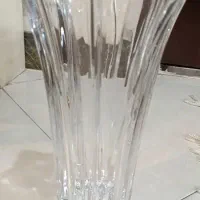 گلدان ستاره ای|گل و گیاه طبیعی|تهران, افسریه جنوبی|دیوار