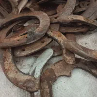 نعل اسب|اسب و تجهیزات اسب‌سواری|محمدشهر, محمدشهر|دیوار