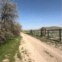 زمین خانه باغ آلبلاغ