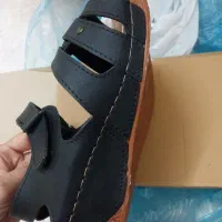 صندل کفش|کیف، کفش، کمربند|مشهد, هفت تیر (نه دره)|دیوار