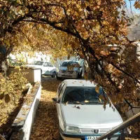 پژو۴۰۵|خودرو سواری و وانت|تهران, تهرانپارس غربی|دیوار