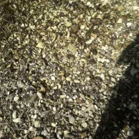 فروش تفاله چغندر تر و خشک، ذرت علوفه