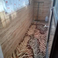 املاک درنصیرشهر|فروش آپارتمان|رباط‌کریم, نصیرشهر|دیوار