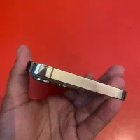 اپل iPhone 13 Pro Max با حافظهٔ ۲۵۶ گیگابایت|موبایل|کرمان, |دیوار