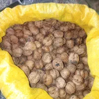 گردو جنگلی|خوردنی و آشامیدنی|دوزین, |دیوار