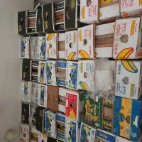 کارتون موزی