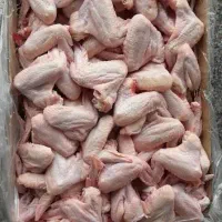 بال و بازو و کتف تازه و منجمد