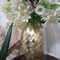 ظروف پذیرایی