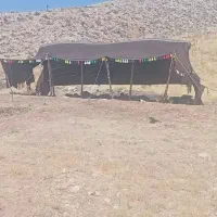 سیاه چادر سالم سالم با همه امکانات