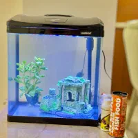 آکواریوم شیشه خم
