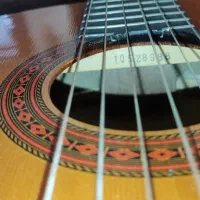 گیتار c40 اصل|گیتار، بیس، امپلیفایر|تهران, قاسم‌آباد|دیوار