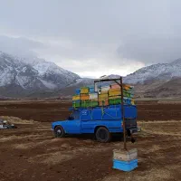 نیسان مدل 89 دو گانه کارخانه