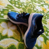 کفش ساکنی اورجینال|کیف، کفش، کمربند|کبودرآهنگ, |دیوار