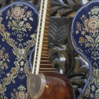 ساز تار ایرانی|سازهای سنتی|هشتگرد, شهرک بعثت|دیوار