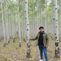 نهـال صنــوبر ممتاز با ریشه قوی و رشد تضمینی|خدمات باغبانی و درختکاری|قزوین, |دیوار