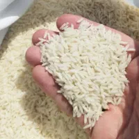 برنج هاشمی آستانه
