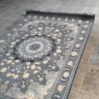 کیفیت گران نخرید ۷۰۰شانه|فرش|قشم, |دیوار