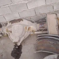 دف بنز 911