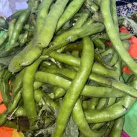 باقالا سبز تازه به قیمت سر زمین