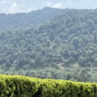 زمین ۴۲۰۰متر/سند۶دانگ/ مسکونی/۲کله/رو ارتفاع خیرود