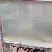 فروش آکواریوم ماهی زنده|ماهی|فولادشهر, مسکن مهر فولادشهر|دیوار