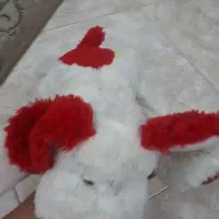 عروسک سگ قرمز سفید مخملی و خیلی خوشگل با زیر قیمت|اسباب‌بازی بچه|رشت, نخودچر|دیوار