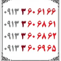 0913-3-60-61-66