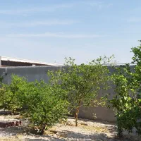 منزل مسکونی خانه باغ باغک جنوبی بوشهر|فروش خانه و ویلا|چغادک, |دیوار