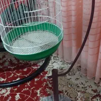قفس پرنده|لوازم جانبی حیوانات|کرمانشاه, |دیوار