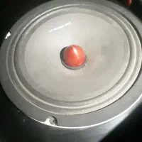 میدرنج دهنه8