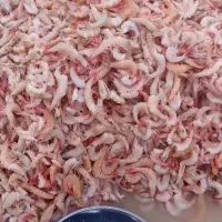 میگو پلویی هندیجان