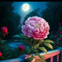 ۰۹۱۲۲۹۹۳۵۹۹