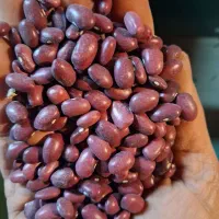 لوبیا قرمز|خوردنی و آشامیدنی|کرج, حسن آباد|دیوار