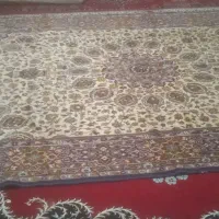 فرش ۱۲ متری و ۶ متری|فرش|کرج, ساسانی (قلمستان)|دیوار