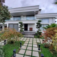 اماده قبول سرپرستی پودل نر