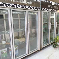 فروش یخچال ویترینی|فروشگاه و مغازه|جم, |دیوار