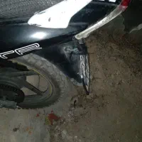 قناری مشگی  م د ل ۸ ۷