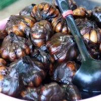 سیر ترشی ۳ ساله|خوردنی و آشامیدنی|اهواز, کوروش|دیوار