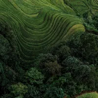 650-متر-ویلا-جهت-سکونت-یا-کار-بر-ولیعصر