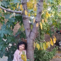 فروش خونه ویلایی